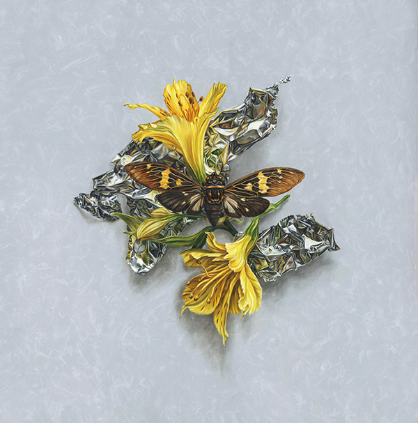 Cicada Mirrored with Alstroemeria by Alex Louisa | Lethbridge Gallery